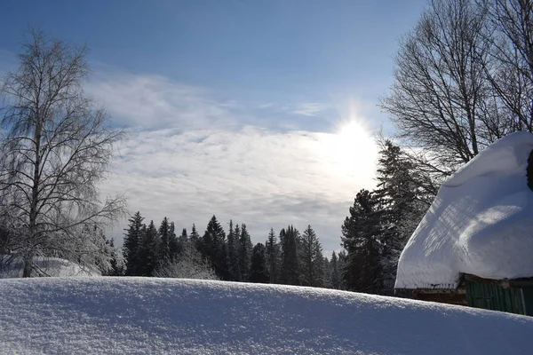 田舎で雪に覆われた冬 — ストック写真
