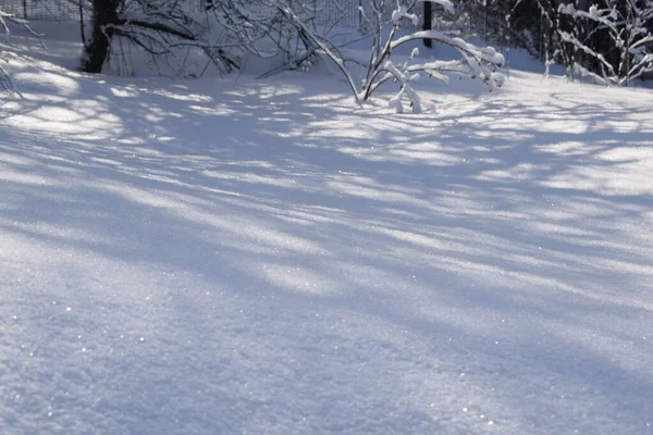 Winterlandschap Een Zonnige Dag — Stockfoto