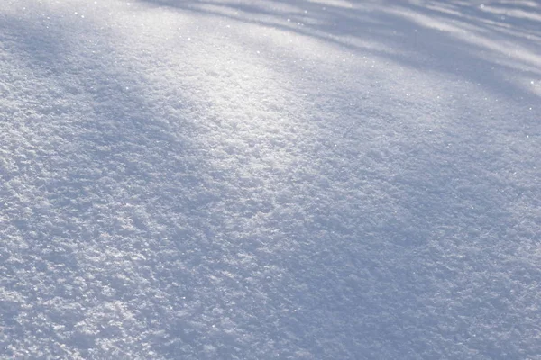 Sneeuw Bedekt Met Sneeuw — Stockfoto