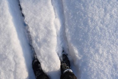 Kış ormanlarında yol, karda yürüyen İskandinav.