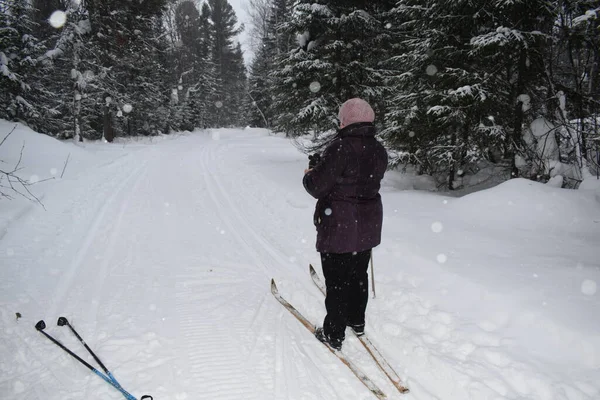 road in the winter forest, Nordic walking in the snow