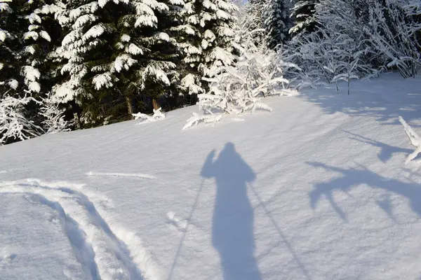 Route Dans Forêt Hiver Piste Ski Pour Skieurs — Photo