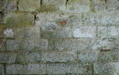 Eski duvarın dokusu