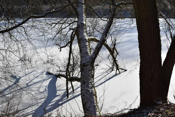 Winterlandschap Bij Rivier — Stockfoto