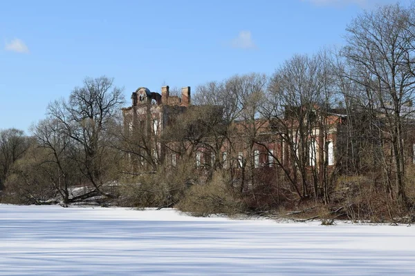 Wandelen Door Het Winterbos Bomen Het Park — Stockfoto