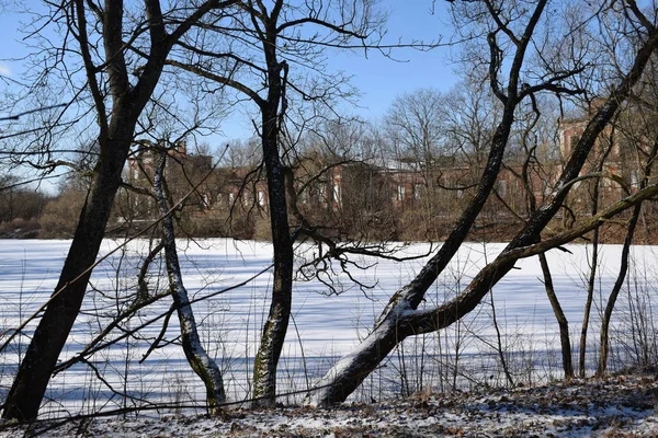 Прогулка Парку — стоковое фото