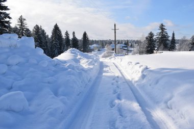  Kış manzarası, karlı ağaçlar ve mavi gökyüzü