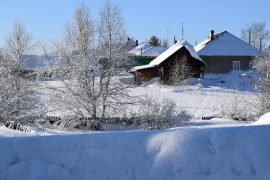  Kış manzarası, karlı ağaçlar ve mavi gökyüzü