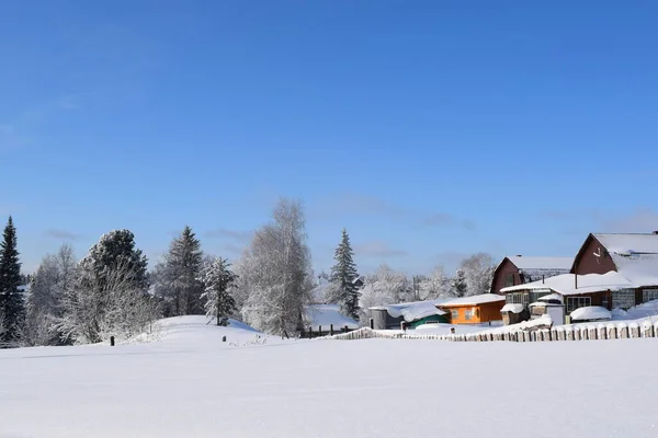 Kış Manzarası Karlı Ağaçlar Mavi Gökyüzü — Stok fotoğraf