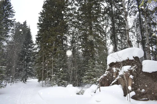 Paisaje Invernal Con Árboles Nieve — Foto de Stock