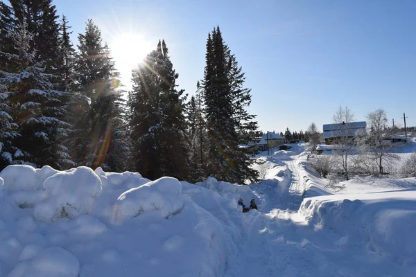 Winterlandschap Met Besneeuwde Bomen Blauwe Lucht — Stockfoto