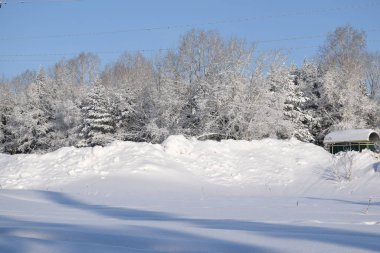 Kış manzarası, kışın Sibirya
