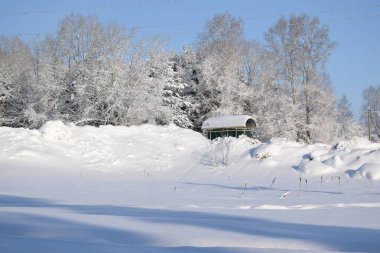 Kış manzarası, kışın Sibirya