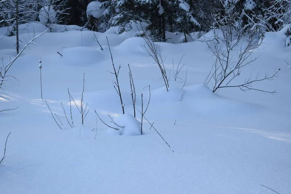 Paysage Hivernal Sibérie Hiver — Photo