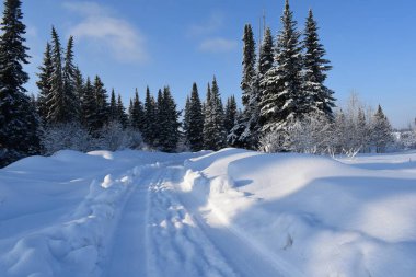Kış ormanında yol