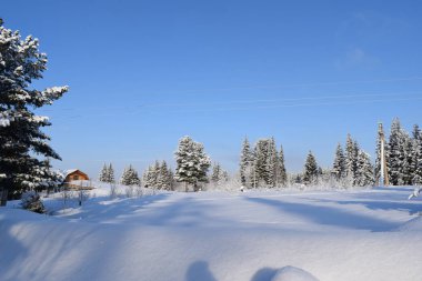 Kış manzarası, kışın Sibirya