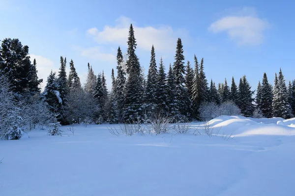 Inverno Paisagem Montanha Com Árvores Neve — Fotografia de Stock