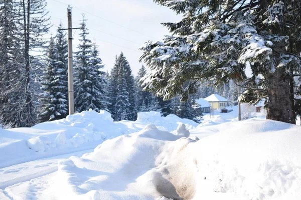 Snörik Vinter Landsbygden — Stockfoto