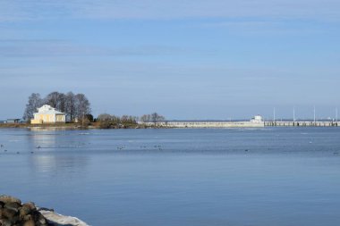 Denizde ördekler buz kütlelerinin arasında