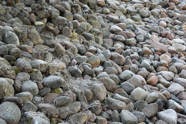 Галька Пляже Мелкие Камни — стоковое фото