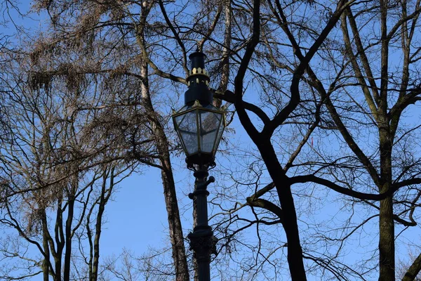 Lanterna Sullo Sfondo Alberi Cielo — Foto Stock