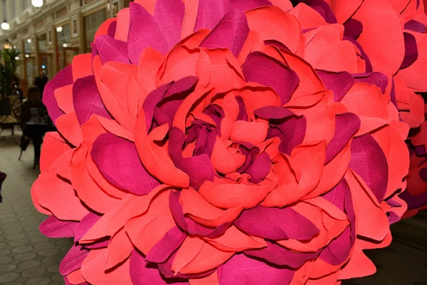 Grande Flor Rosa Decoração Interiores — Fotografia de Stock