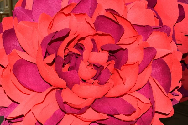 Grande Flor Rosa Decoração Interiores — Fotografia de Stock