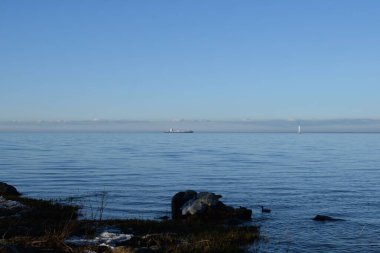 Park, parkta yürüyen insanlar, yürümek için yer, parkta ağaçlar.