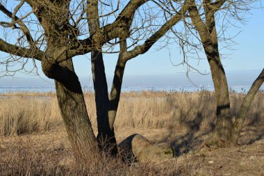 yürüyüş ve dinlenme Parkı