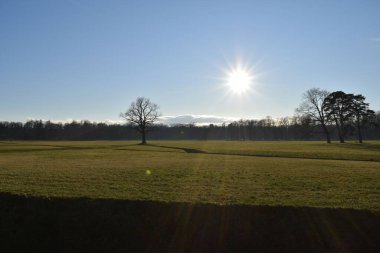 Park, yürüyüş yeri, parkta ağaçlar.