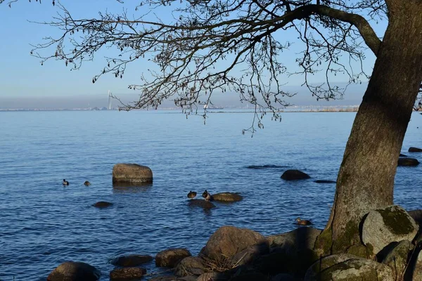 Solnedgång Havet Havsutsikt — Stockfoto