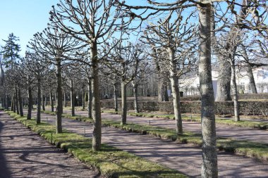 Park alanı, yürüyüş yeri.