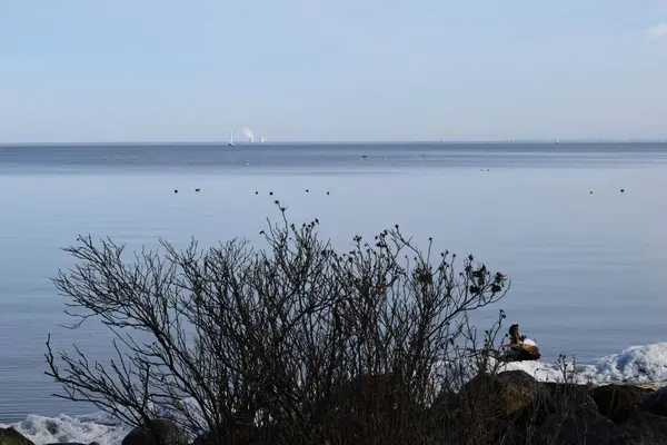 Vall Tillträde Till Havet — Stockfoto