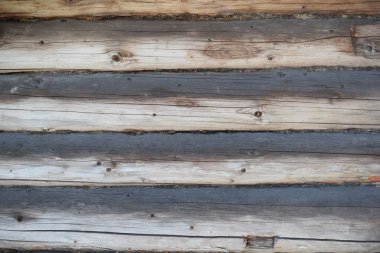 Soyut gri arkaplan, eski ağaç