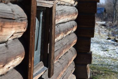 Soyut gri arkaplan, eski ağaç