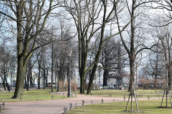 Trees Park — Stock Photo, Image