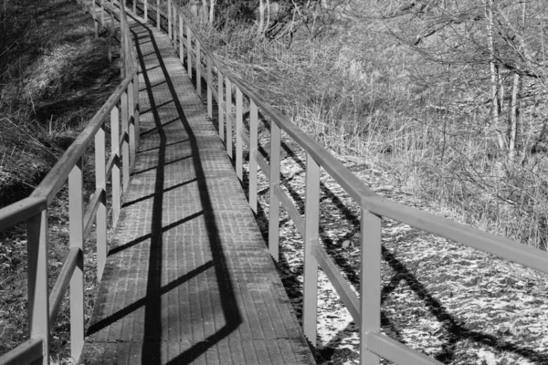 Puente Sobre Arroyo Bosque —  Fotos de Stock
