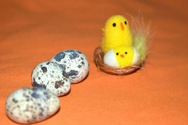 Galinhas Uma Cesta Ovos Páscoa — Fotografia de Stock