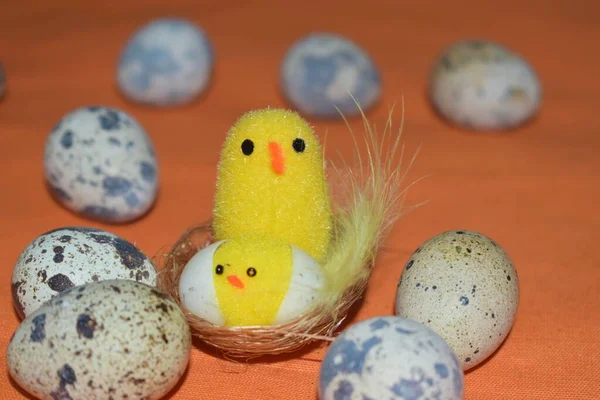 Кури Кошику Великодні Яйця — стокове фото