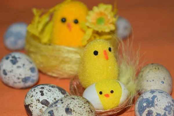 Poulets Dans Panier Oeufs Pâques — Photo