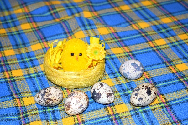 Курка Кошику Великодні Яйця — стокове фото