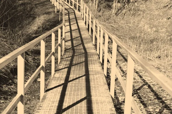 Puente Sobre Arroyo Bosque — Foto de Stock