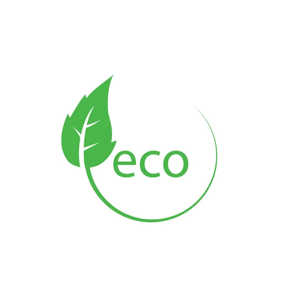 Zielony liść, Eco ikona Wektor ilustracja, płaska konstrukcja — Wektor stockowy