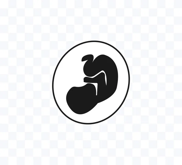 Эмбрион, плод, икона беременности. Векторная иллюстрация. Плоская квартира . — стоковый вектор