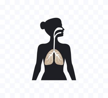 Vektör çizimi, düz tasarım. Akciğerli kadın vücut silueti