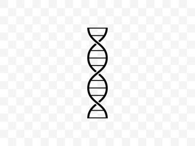 Kromozom, DNA genetik ikonu Vektörü