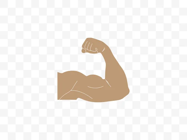 Biceps Icono Muscular Ilustración Vectorial Plana — Vector de stock