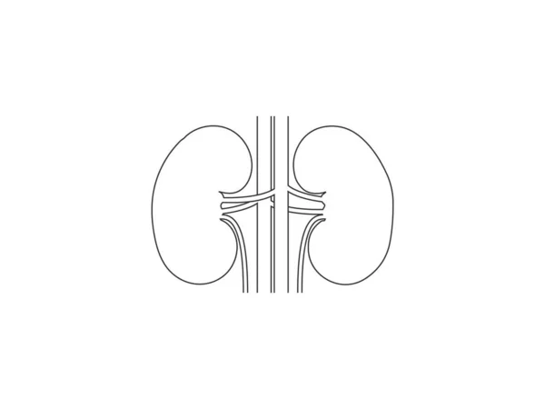 Векторная Иллюстрация Плоский Дизайн Медицинская Икона Почек — стоковый вектор