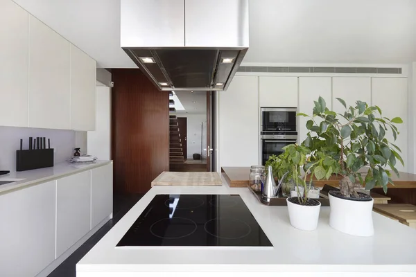 Interieur Keuken Van Modern Eigentijds Huis — Stockfoto