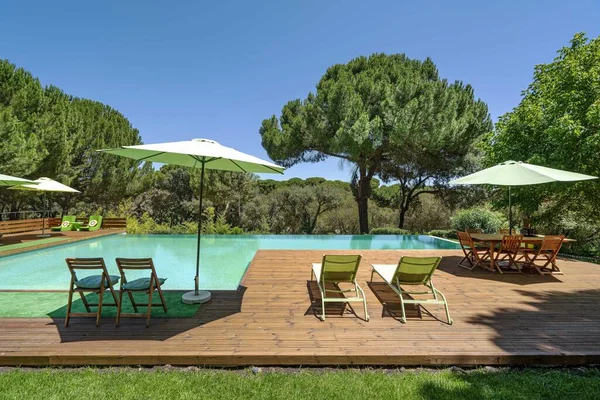 Intérieur Extérieur Piscine Arbre Vert — Photo